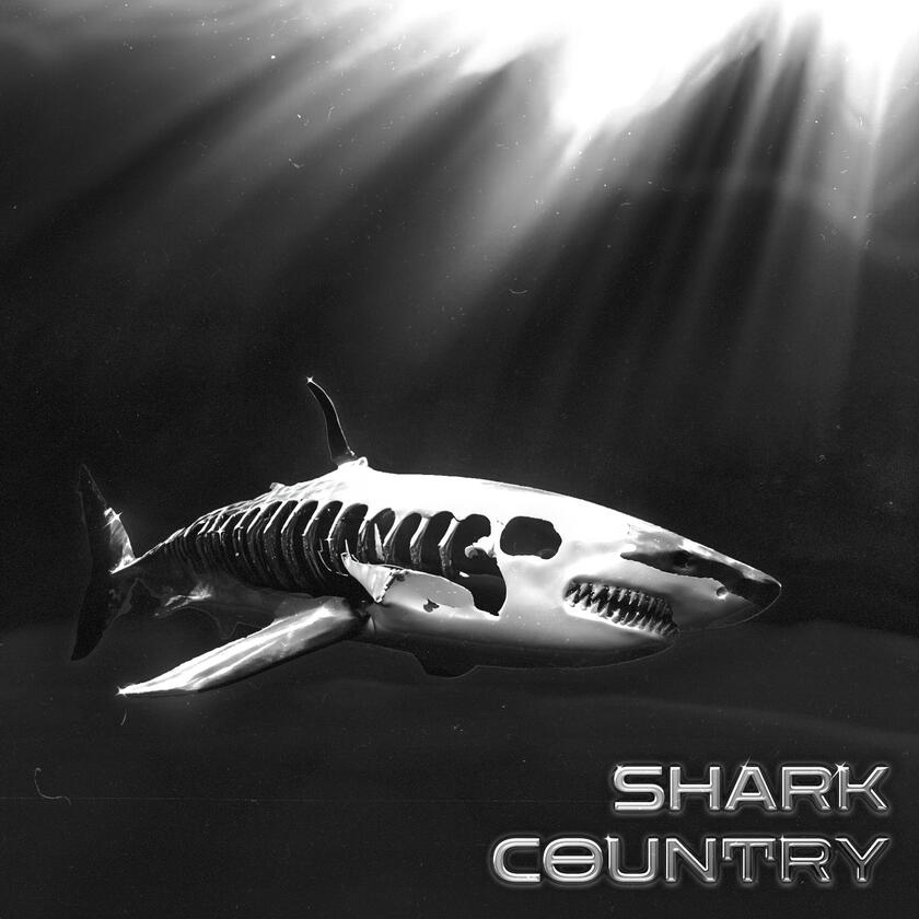 Shark Country album cover design work by Denas